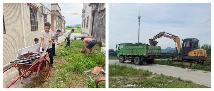 搞卫生.政府网2 (1).jpg