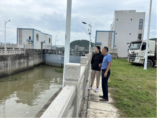 市领导巡查大隆洞河并检查基孔肯雅热244.png