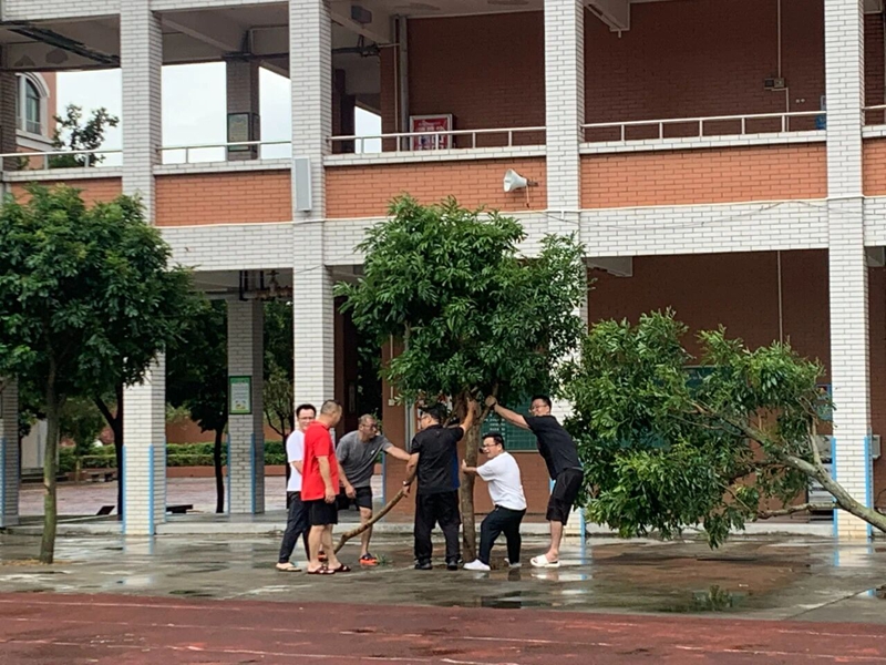 微信图片_2025-09-26_084400_668.jpg