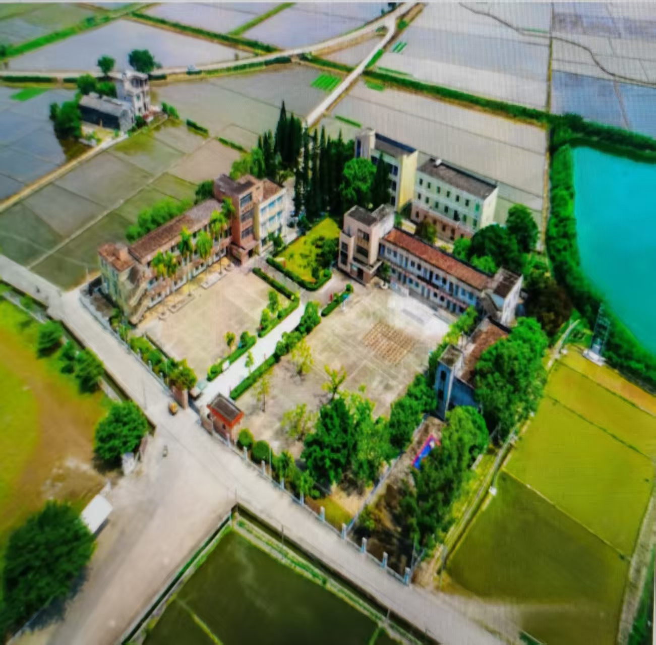 台山市广海镇振华小学   学校图片.jpg