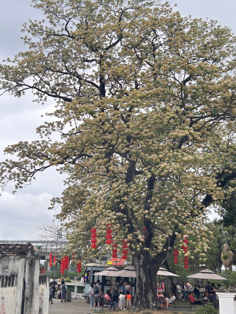 db3d1f03d535d85c6905d95d5eb77b7_副本.jpg