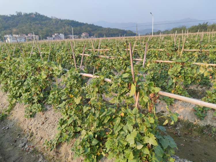 7d702d957219243198830b60d9d10431_compress (1).jpg