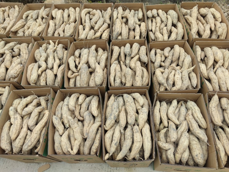 IMG_20241223_113458 (1).jpg