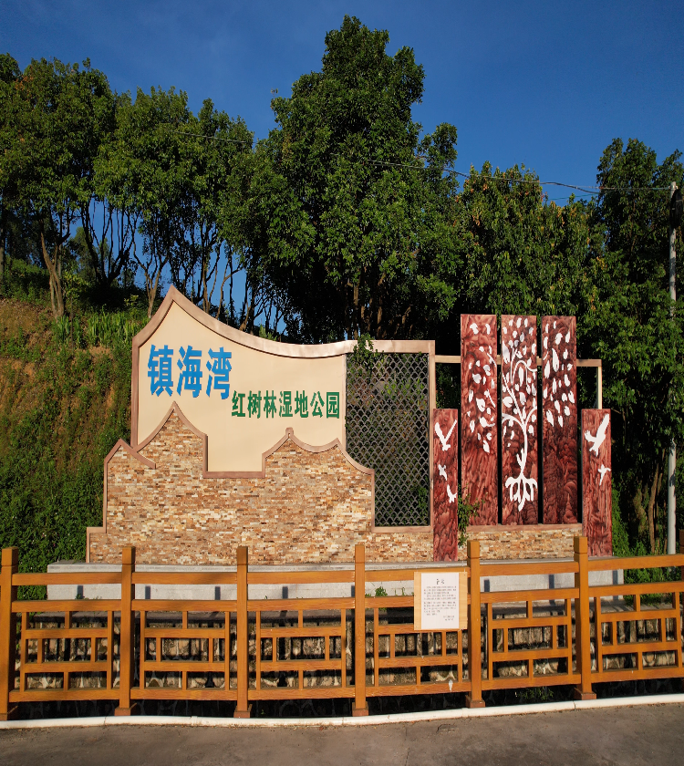 镇海湾红树林湿地公园-陈舒文.png