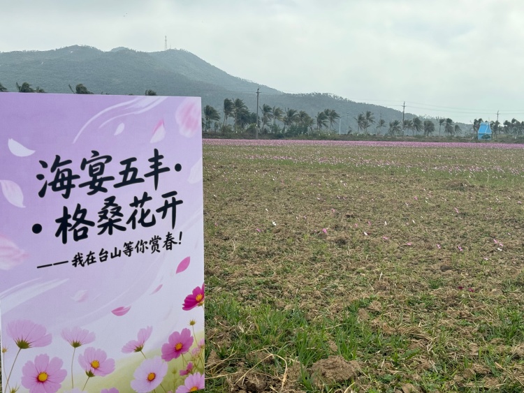 6b9a688a6d51d8f14cca3ffe932c8949 (1).jpg