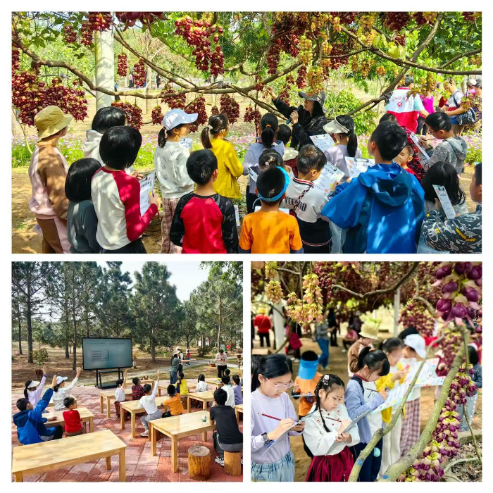 图片2.jpg