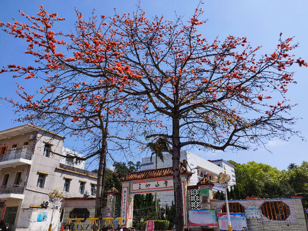 台山市川岛镇中心小学.jpg
