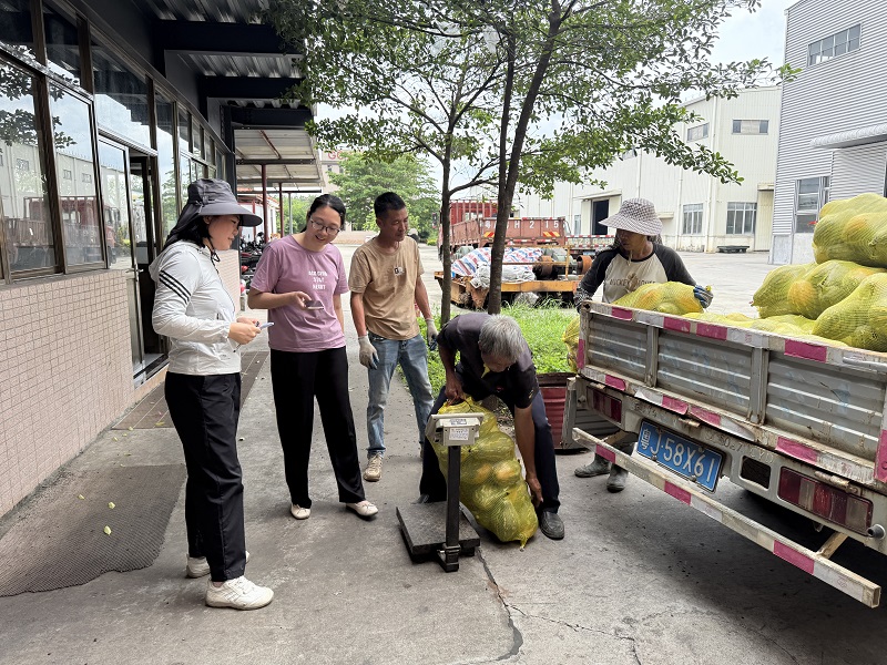 0422经济办全程跟进保障 助力温泉村香芋南瓜直达企业餐桌07.jpg