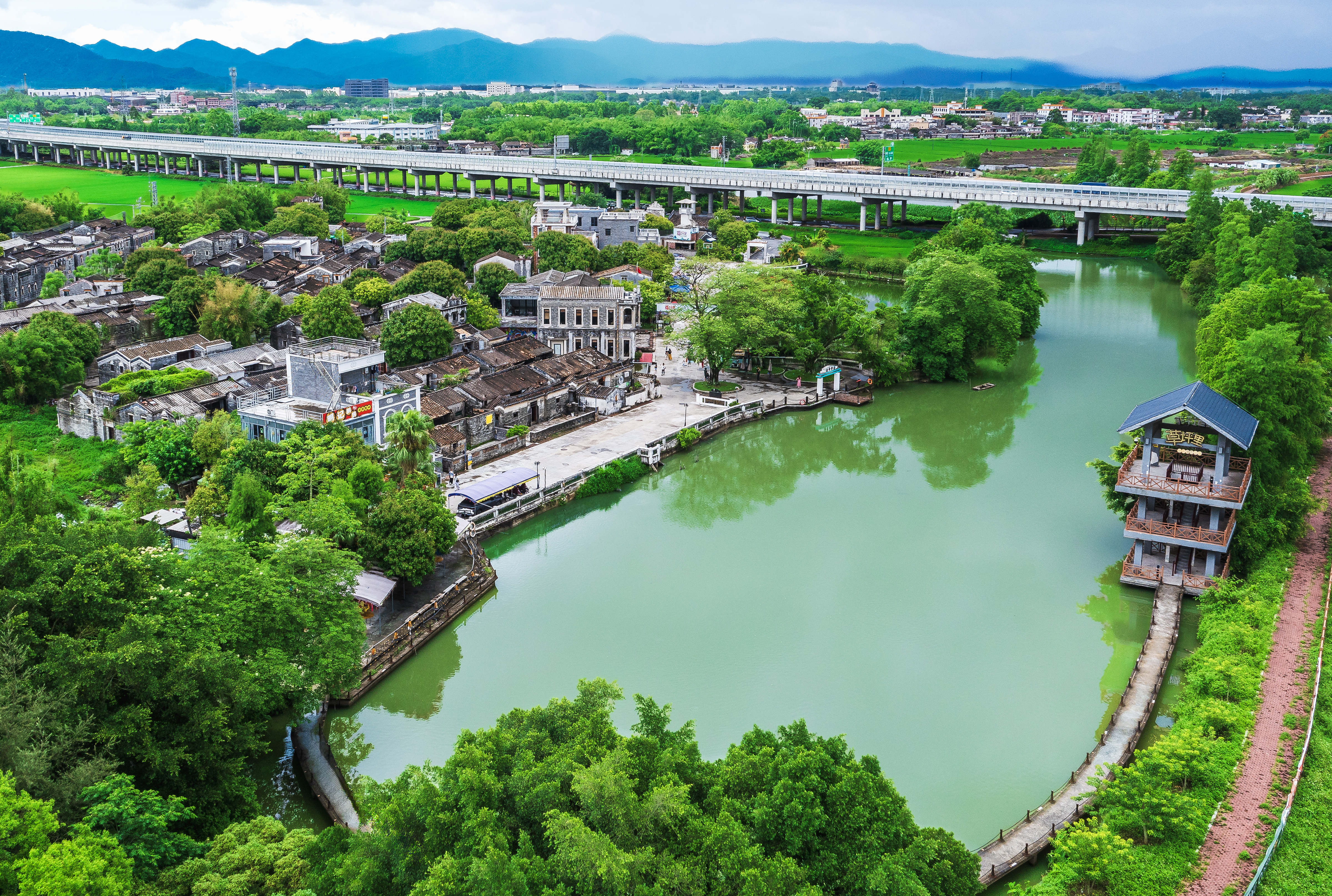 草坪里.jpg
