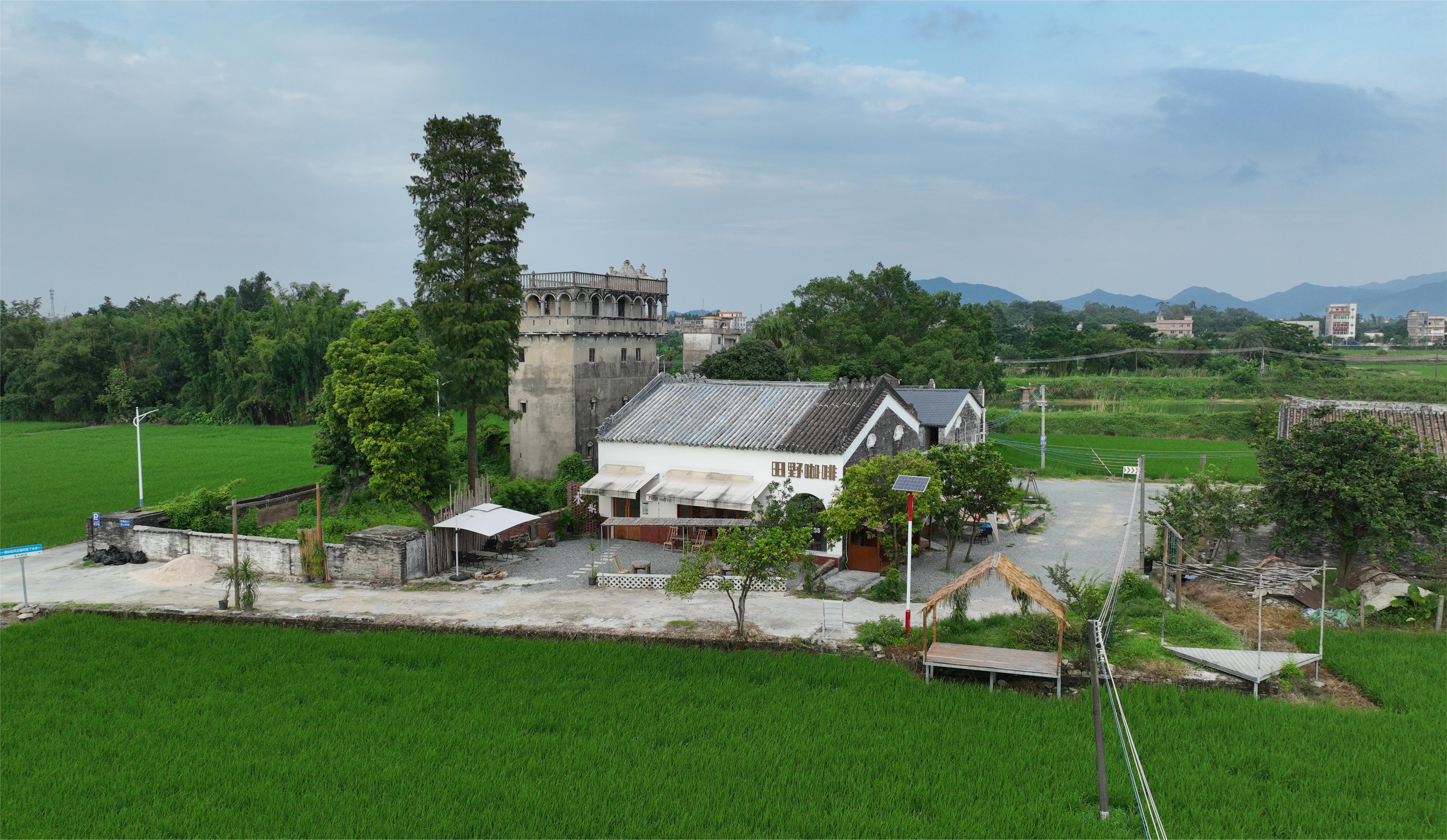 田野咖啡 (2).JPG