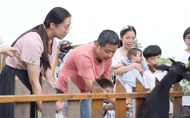 禾与荷民宿1.gif