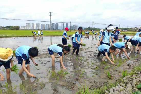 台之旅公司组织师生开展春季研学实践活动