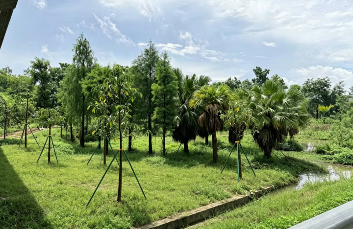 image6.png