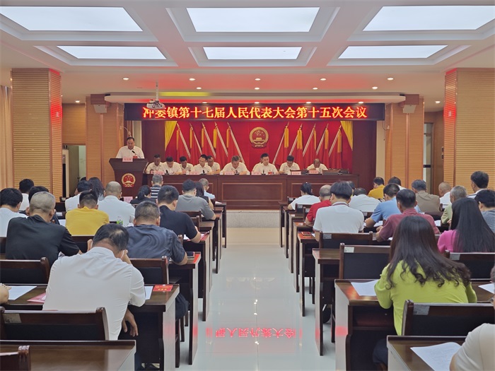 2镇长李伟彬读政府工作报告.jpg