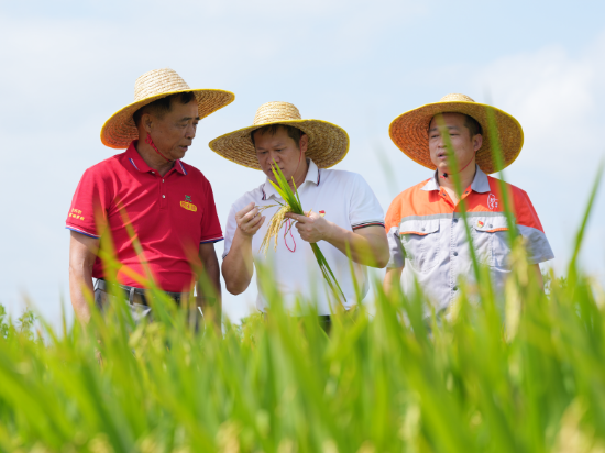 左二为陈茂新。