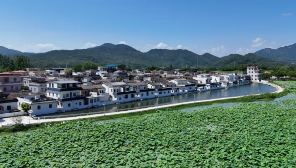 已编辑图片
