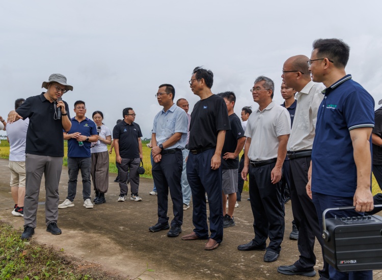 袁定阳研究员实地查看海宴镇耐盐碱水稻示范种植基地 (1).jpg