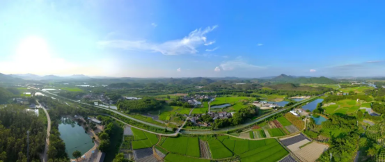 台山农业用水权改革闯出大湾区 跨行业水要素市场化配置新路径1067.png