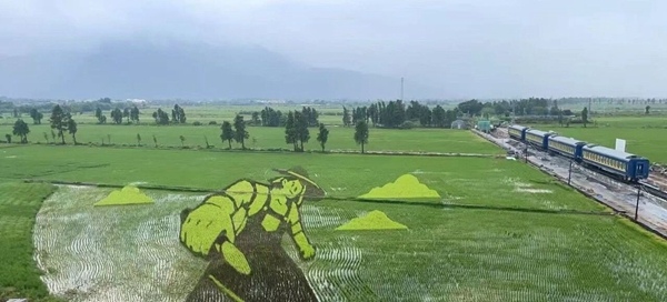 102.jpg