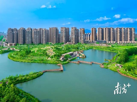 近年来，台城街道城乡品质实现新提升。周华东 摄_副本.jpg