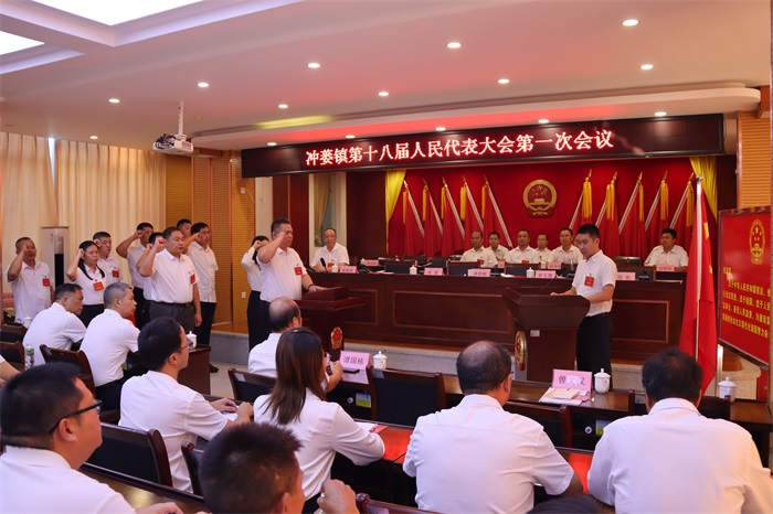 图26-当选人与代表资格审查委员会成员向宪法宣誓.JPG