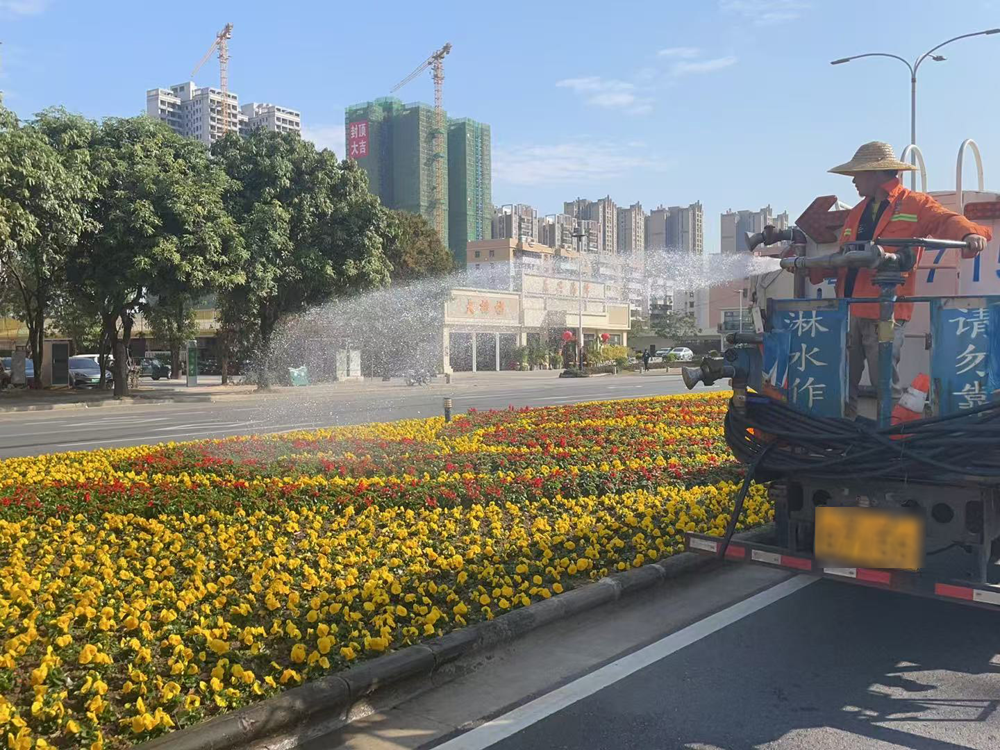 1.28时花淋水.jpg