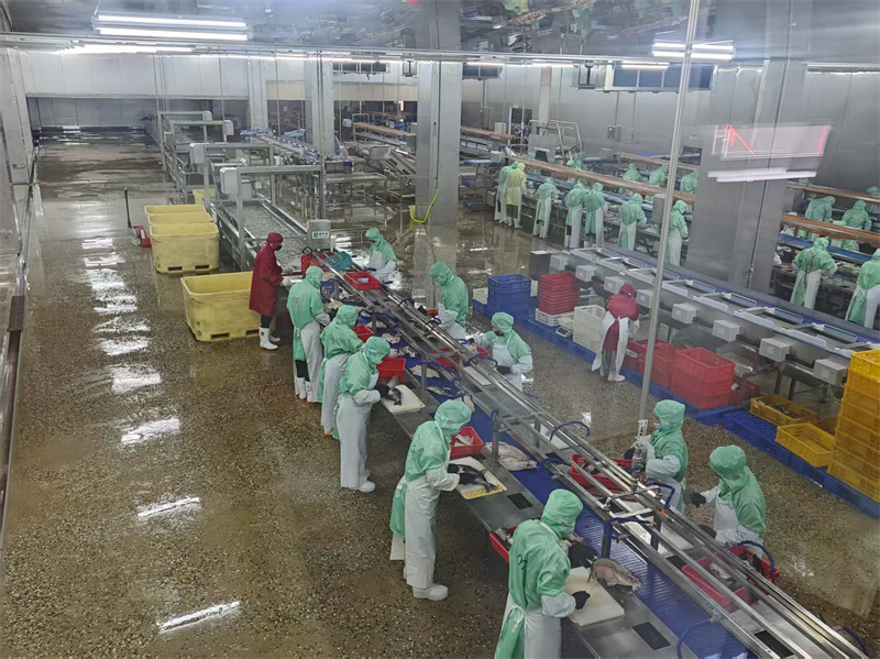 4.三珍生产线.jpg
