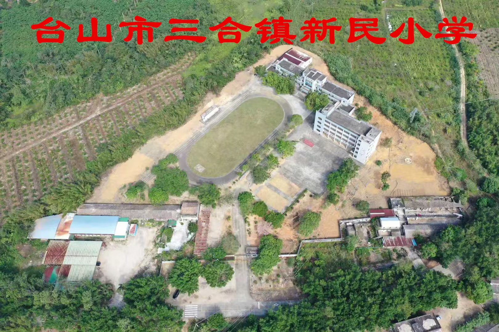 新民小学.jpg