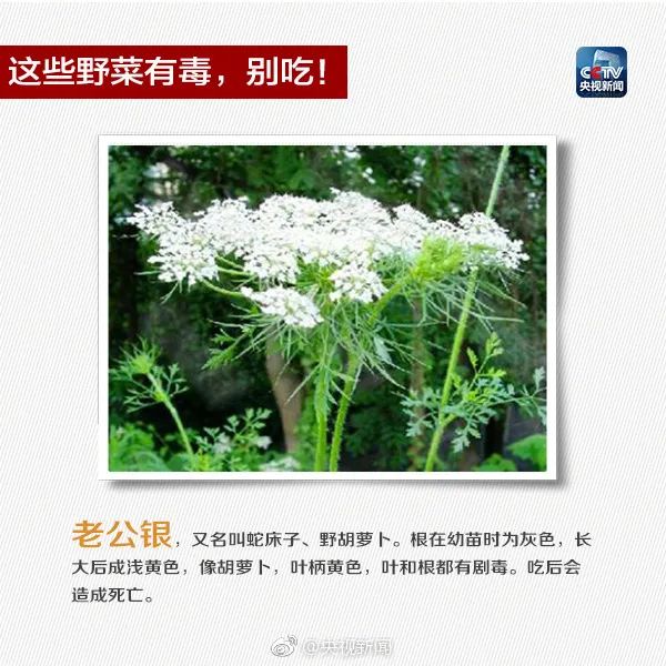 405.jpg 图片