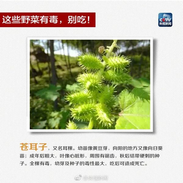 402.jpg 图片