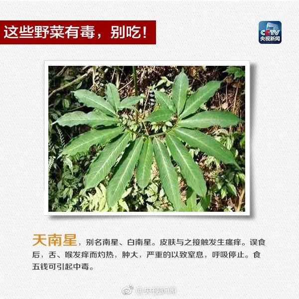 401.jpg 图片