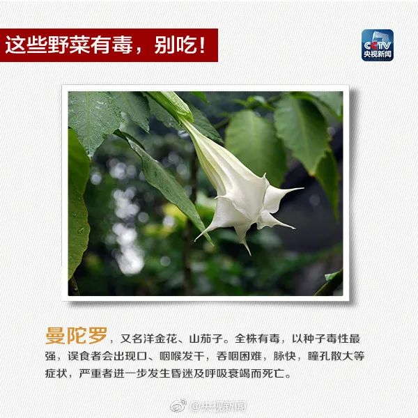 404.jpg 图片