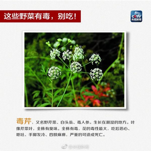408.jpg 图片