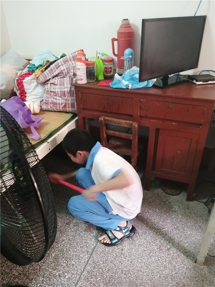 图片4.jpg