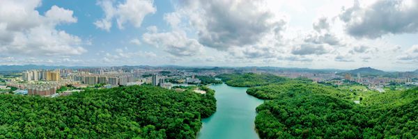 (修)绿拥台城 陈健科_副本.jpg