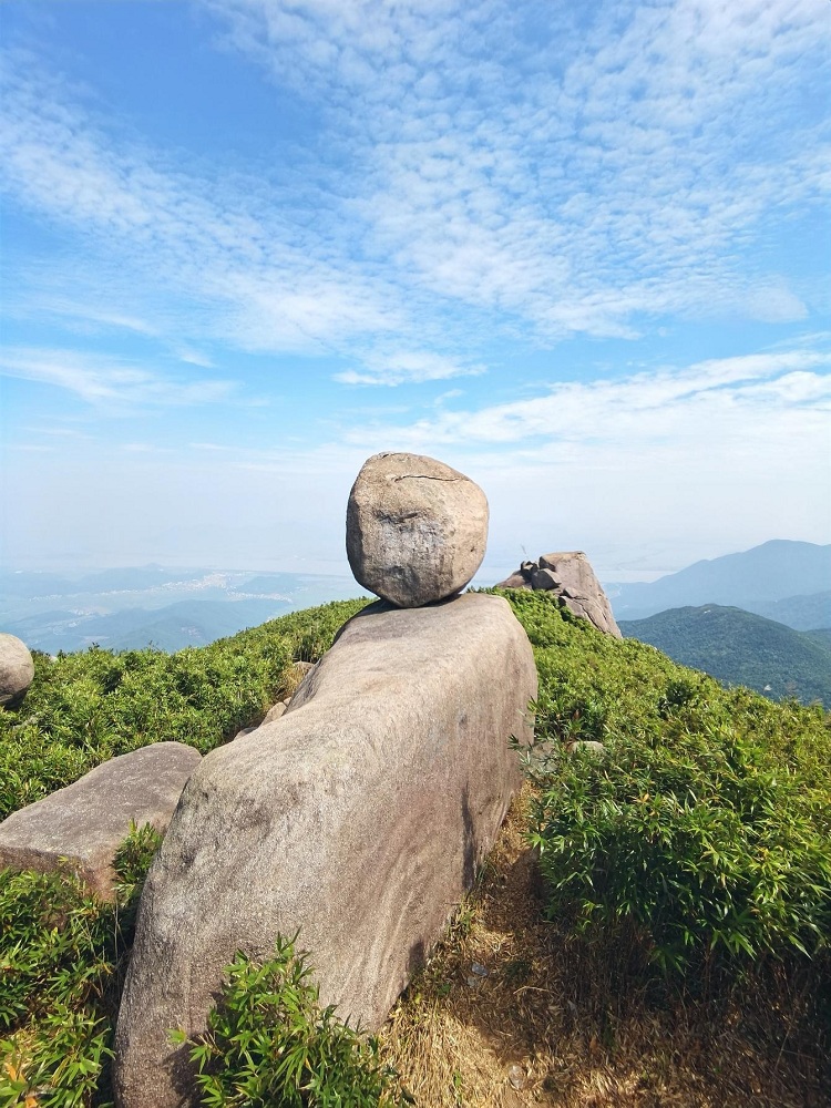 台山北陡镇主办这个荔枝节活动,主打旅游市场,创意和内容都很好,我们